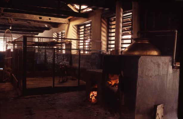 Open wood fires keep a newborn calf warm. They also heat water in copper cauldrons for the household.