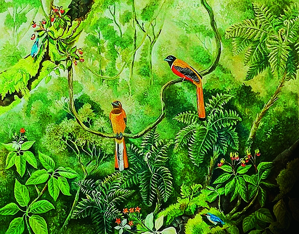 Trogons-and-nuthatchesV2-1920