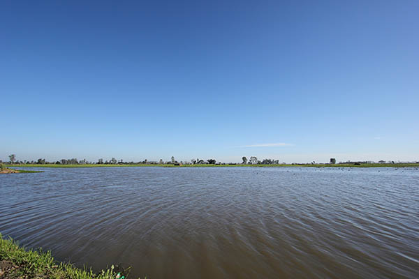 Gharana wetland is situated on the border between India and Pakistan
